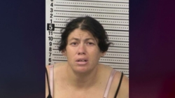 New Mexico mom charged after allegedly dumping her newborn in porta potty to drown