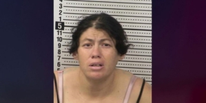 New Mexico mom charged after allegedly dumping her newborn in porta potty to drown