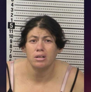 New Mexico mom charged after allegedly dumping her newborn in porta potty to drown