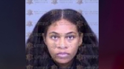 Woman allegedly stabbed fellow train passenger 14 times with steak knife