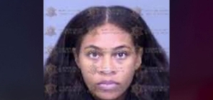 Woman allegedly stabbed fellow train passenger 14 times with steak knife