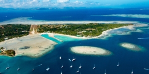 Fox News Lifestyle Newsletter: Feb. 3-10, 2026