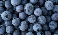 Oregon company recalls frozen blueberries over possible Listeria contamination