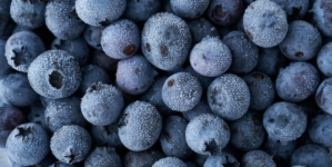Oregon company recalls frozen blueberries over possible Listeria contamination