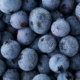 Oregon company recalls frozen blueberries over possible Listeria contamination