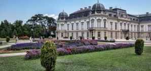 Chateau Market: Prestige, Usability, and the Rise of Domestic Buyers