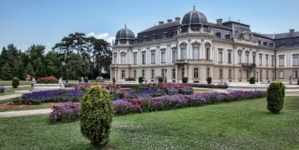 Chateau Market: Prestige, Usability, and the Rise of Domestic Buyers