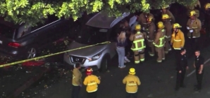 SUV barrels into downtown Los Angeles flower district vendor, injuring 6