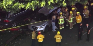 SUV barrels into downtown Los Angeles flower district vendor, injuring 6