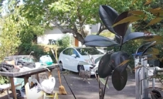 Video: Coyote stalks Pasadena toddler. Hear the mother’s reaction