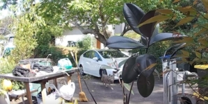 Video: Coyote stalks Pasadena toddler. Hear the mother’s reaction