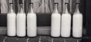 Government Rejects CAP Reform Plans, Seeks EU Aid for Pork and Milk Market Crises