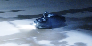 Stolen car suspect drives through L.A. River channel, leading authorities on a pursuit