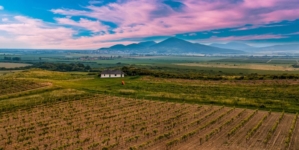 Israeli Tourists Flock to Safe and Friendly Hungary