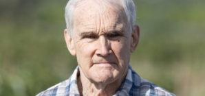 California legislators introduce bill package to address wildfires