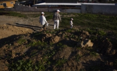 Deal allows State Farm to keep rate hike, without scrutiny over firestorm payouts