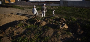 Deal allows State Farm to keep rate hike, without scrutiny over firestorm payouts