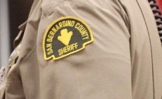 Mother dies protecting son injured from dog attack at grandmother’s home