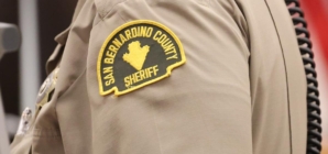 Mother dies protecting son injured from dog attack at grandmother’s home