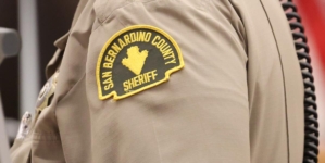 Mother dies protecting son injured from dog attack at grandmother’s home