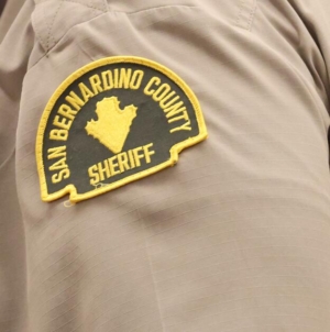 Mother dies protecting son injured from dog attack at grandmother’s home