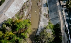 Orange County halts controversial herbicide spraying in two creeks