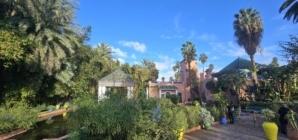 Marrakesh – The Red City, where history and the modern world meet