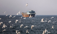 Iran-U.S. war chokes key shipping lane and threatens global cargo industry