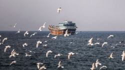 Iran-U.S. war chokes key shipping lane and threatens global cargo industry