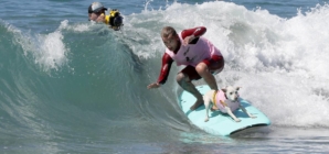 Sugar, a World Dog Surf Champion, is battling cancer, says owner