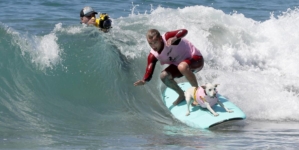 Sugar, a World Dog Surf Champion, is battling cancer, says owner
