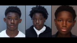 3 boys, ages 12, 13, and 15, charged as adults for allegedly raping girl at community garden