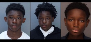 3 boys, ages 12, 13, and 15, charged as adults for allegedly raping girl at community garden
