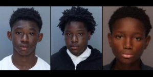 3 boys, ages 12, 13, and 15, charged as adults for allegedly raping girl at community garden