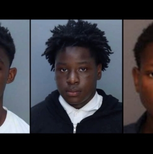 3 boys, ages 12, 13, and 15, charged as adults for allegedly raping girl at community garden