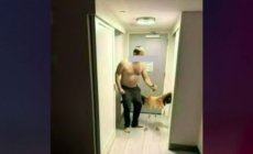 Tourist accused of stealing, torturing, and choking flamingo at Las Vegas hotel habitat