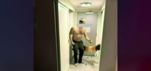 Tourist accused of stealing, torturing, and choking flamingo at Las Vegas hotel habitat