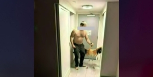 Tourist accused of stealing, torturing, and choking flamingo at Las Vegas hotel habitat