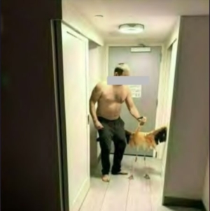 Tourist accused of stealing, torturing, and choking flamingo at Las Vegas hotel habitat