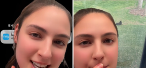 Woman Gets Door Cam Alert About Black Bear—What She Finds Stuns Her