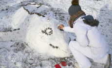 A Zebra Foal Was Born at the Szeged Zoo, Visitors Can Decide Its Name