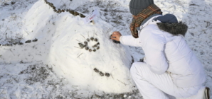 A Zebra Foal Was Born at the Szeged Zoo, Visitors Can Decide Its Name