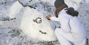 A Zebra Foal Was Born at the Szeged Zoo, Visitors Can Decide Its Name