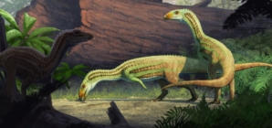 Ancient Croc That Walked on Two Legs Found in Petrified Forest