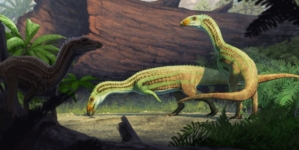 Ancient Croc That Walked on Two Legs Found in Petrified Forest