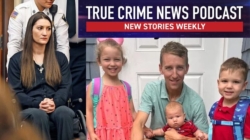 Psychosis or calculated crime? Mother accused of strangling 3 children pleads insanity