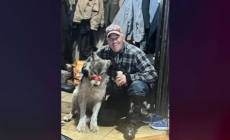 Man takes plea deal in Wyoming wolf cruelty case