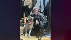 Man takes plea deal in Wyoming wolf cruelty case