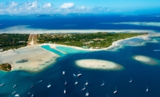 Fox News Lifestyle Newsletter: Feb. 3-10, 2026