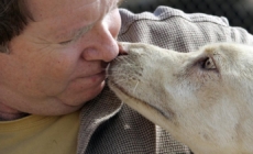 Feds: Animal rescue owner plotted to kidnap former employee rather than pay her